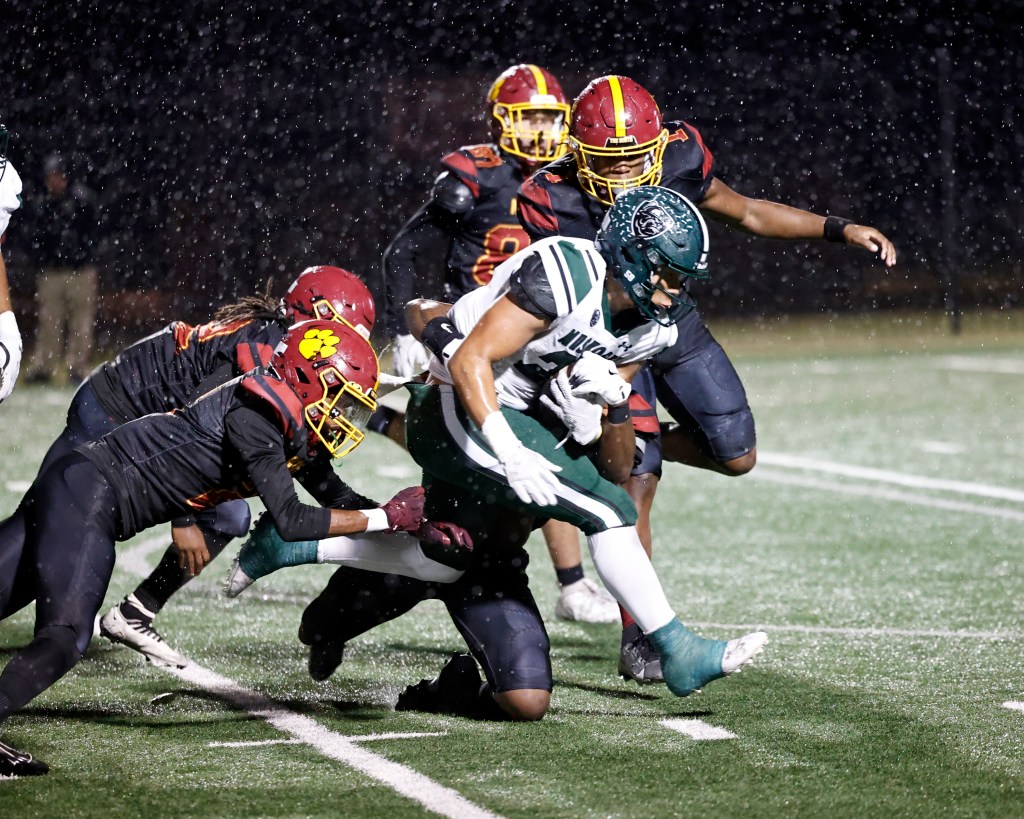 NORTH NOTEBOOK: Panthers look to playoffs after stormy, rough&nbsp;night