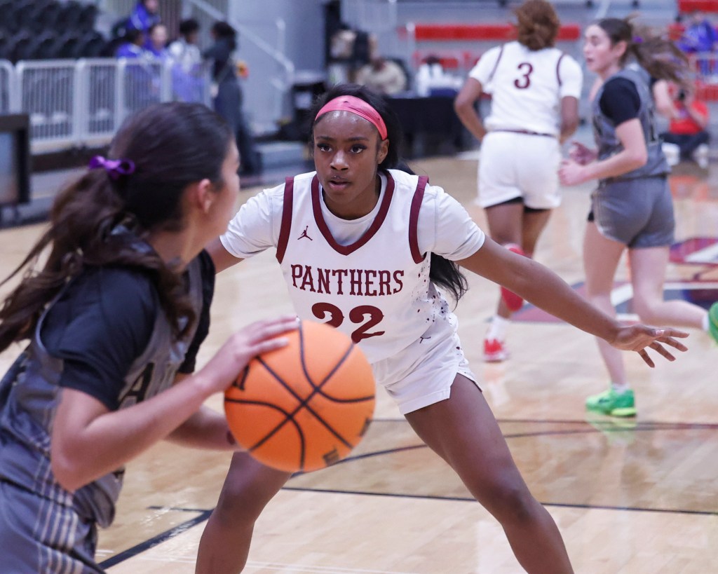 Lady Panther pressure cooker too much for&nbsp;Allen