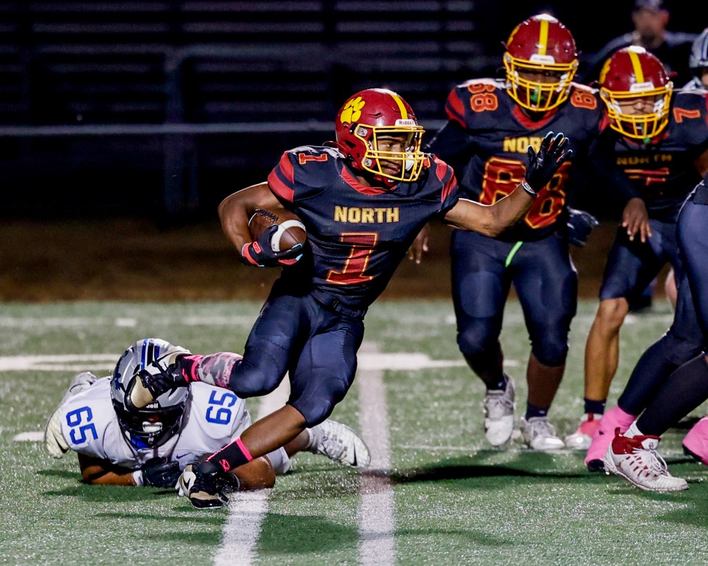 NORTH NOTEBOOK: Panthers looking for growth in playoff&nbsp;experience